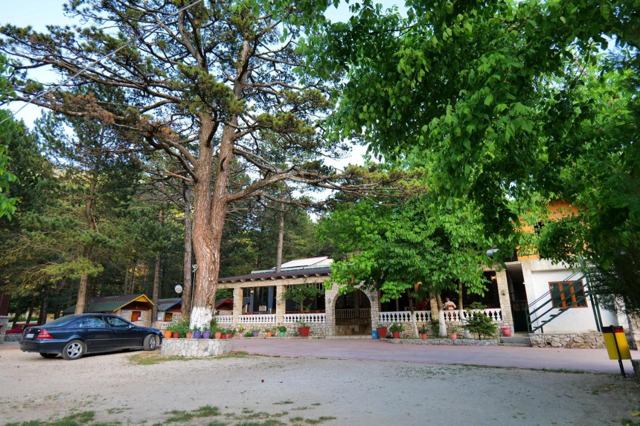 Guesthouse Hamiti Llogara Dukat Екстериор снимка
